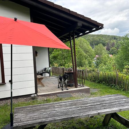Harzhuisje - Sankt Andreasberg Exteriör bild