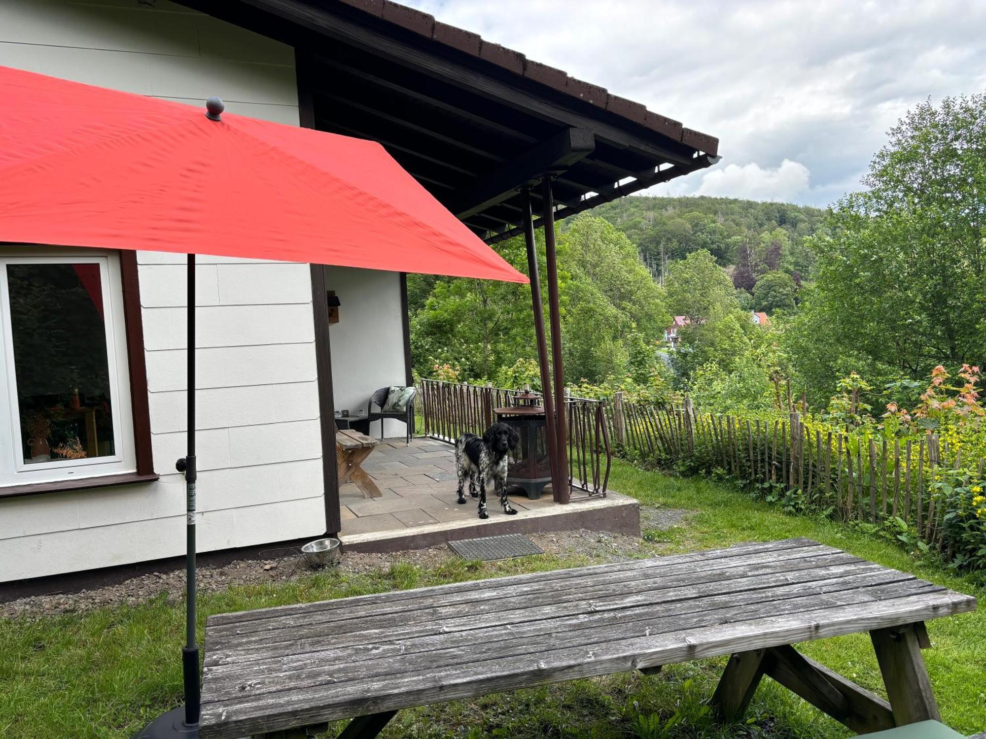 Harzhuisje - Sankt Andreasberg Exteriör bild