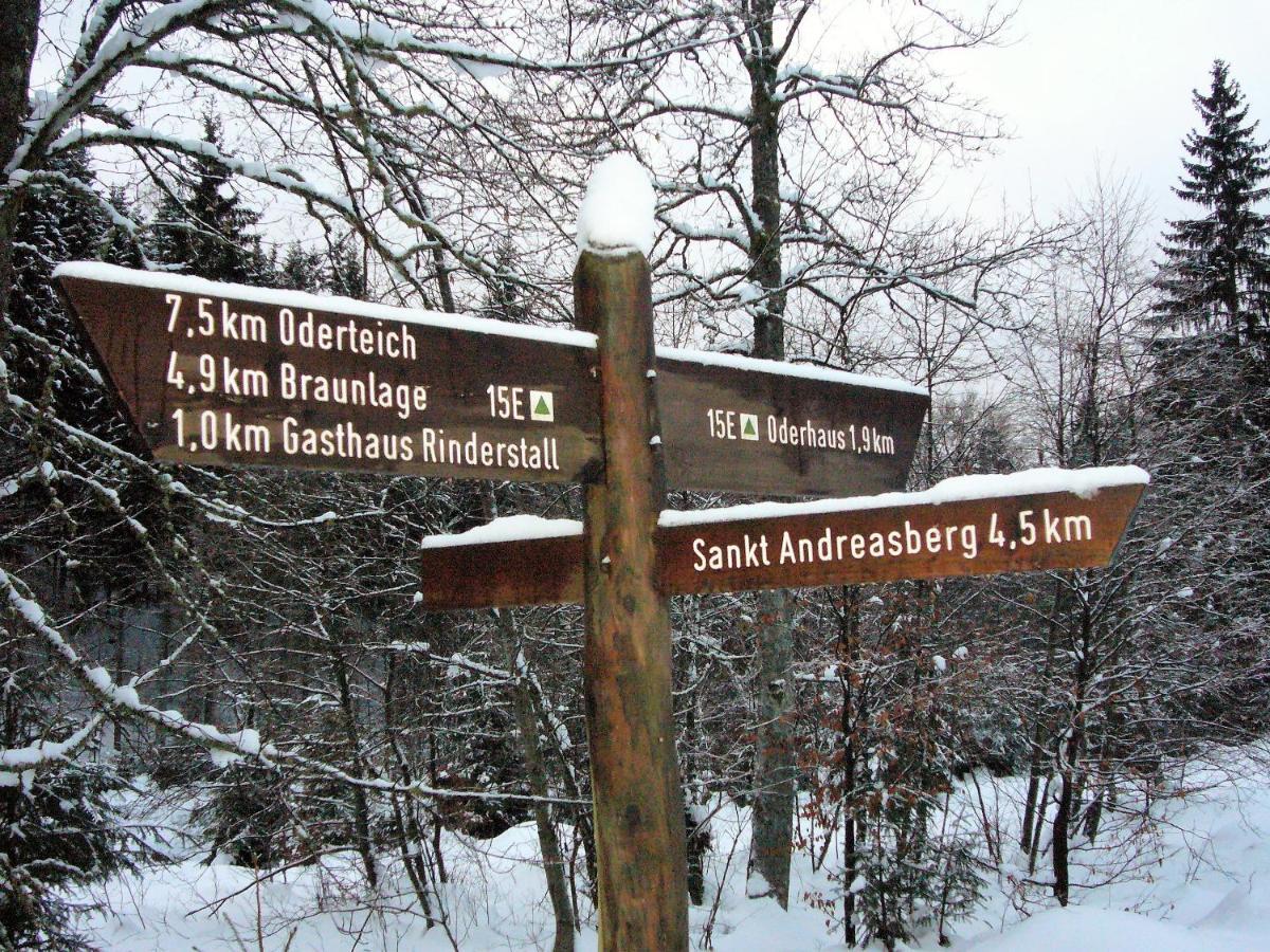 Harzhuisje - Sankt Andreasberg Exteriör bild